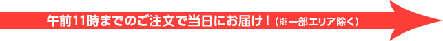 最短2営業日までにお届け可能