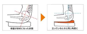 姿勢矯正クッション　ドクターエル